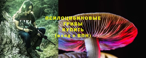 экстази Богданович