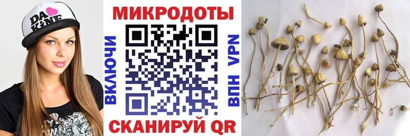 Купить Сыктывкар Псилоцибиновые грибы MAGIC MUSHROOMS
